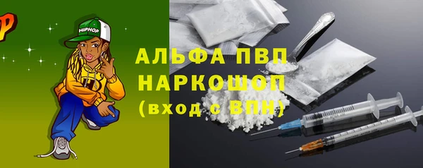 скорость Новозыбков