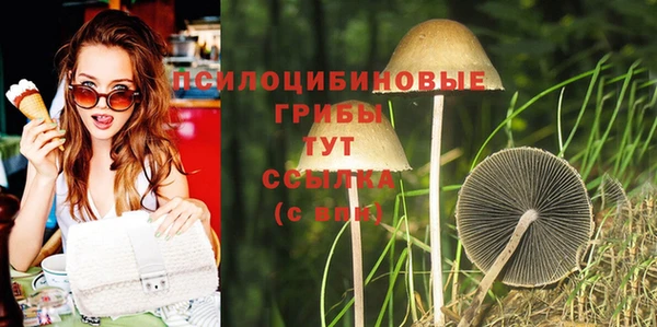 скорость Новозыбков
