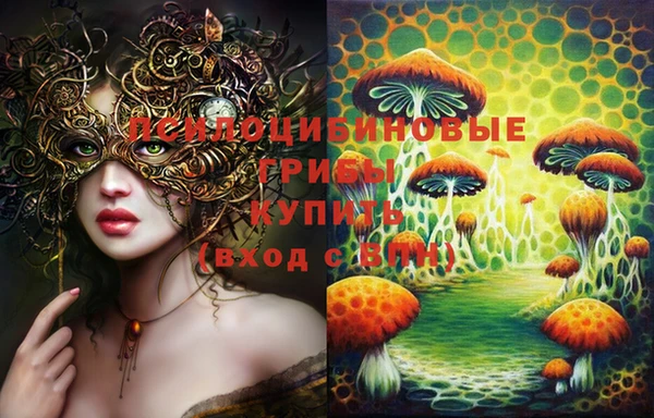 дурь Новокубанск