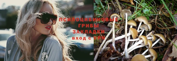 каннабис Новодвинск