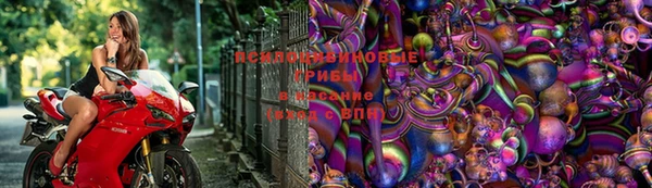 дурь Новокубанск