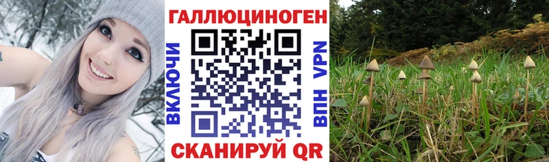 гидра ссылка Новомичуринск Галлюциногенные грибы Magic Shrooms
