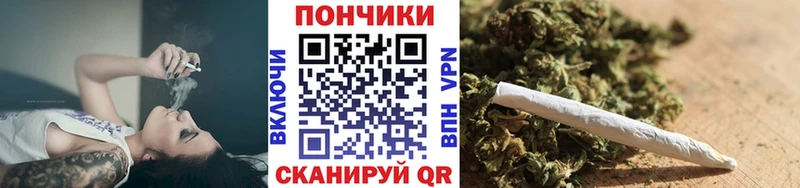 цена   Новомичуринск  Канабис ГИДРОПОН 